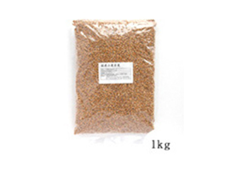 石川県産 井村さんのオーガニック小麦 ゆきちから 玄麦1kg