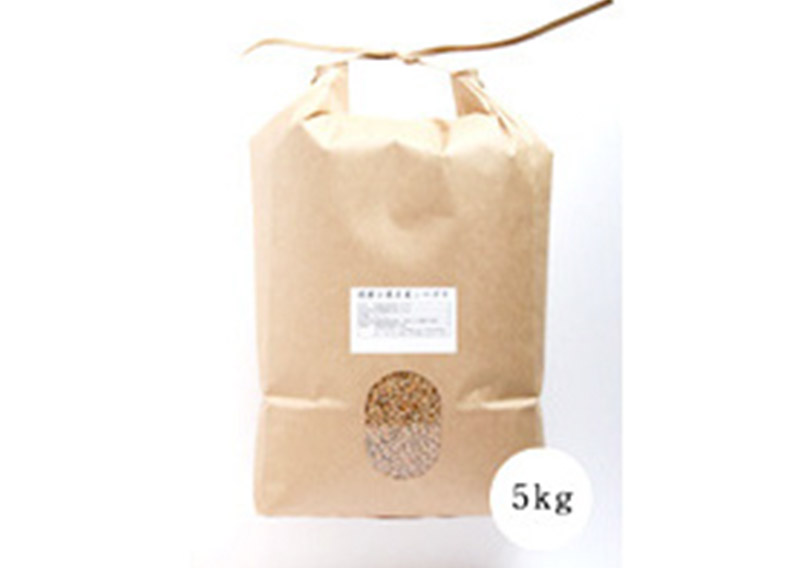 岩手県産 オーガニック小麦 銀河のちから 玄麦5kg【R6年産】