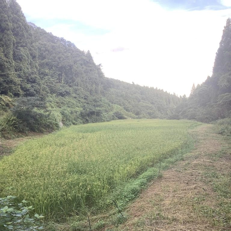 (2024年8月撮影)