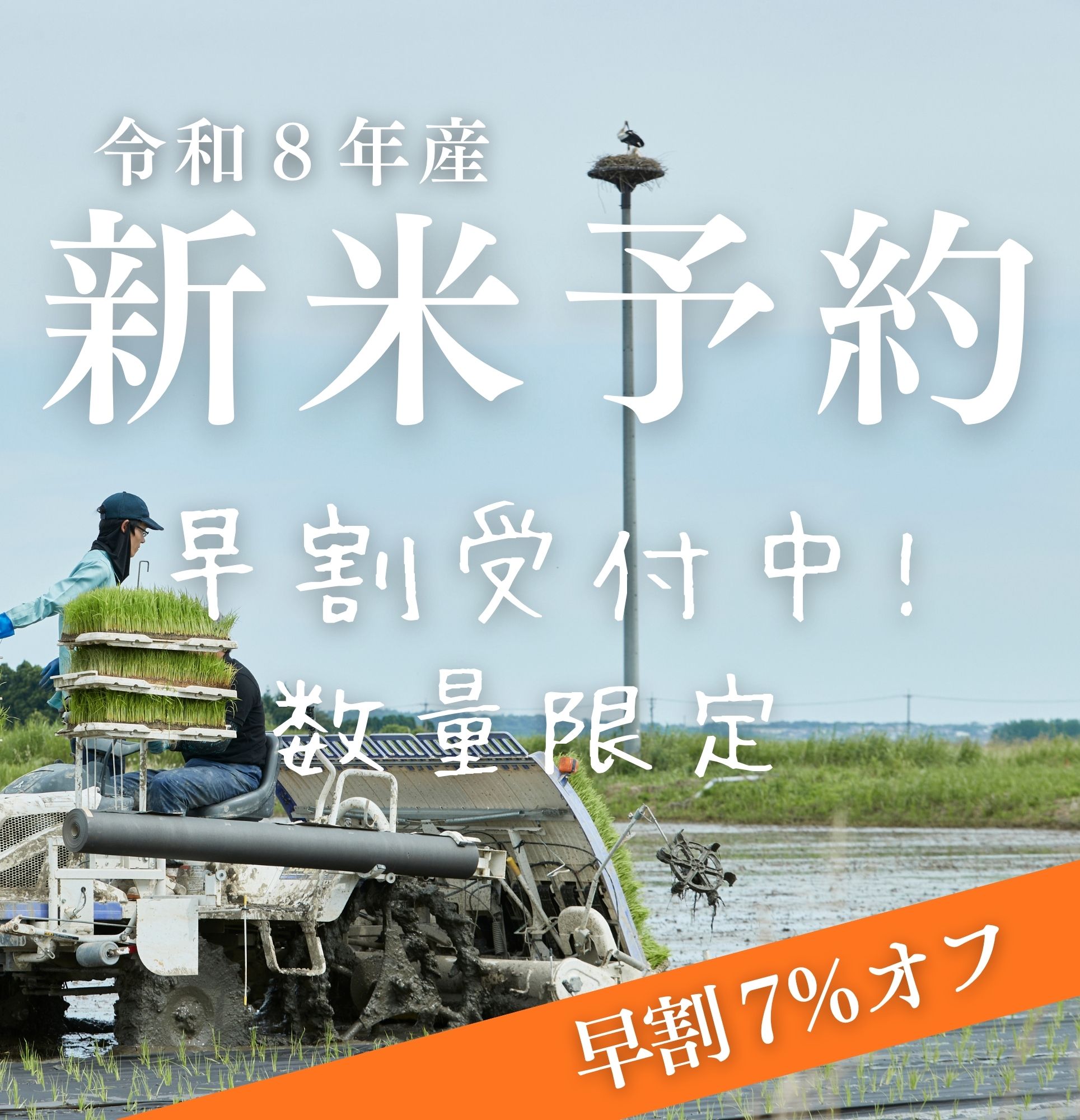 新米予約 早割 受付中