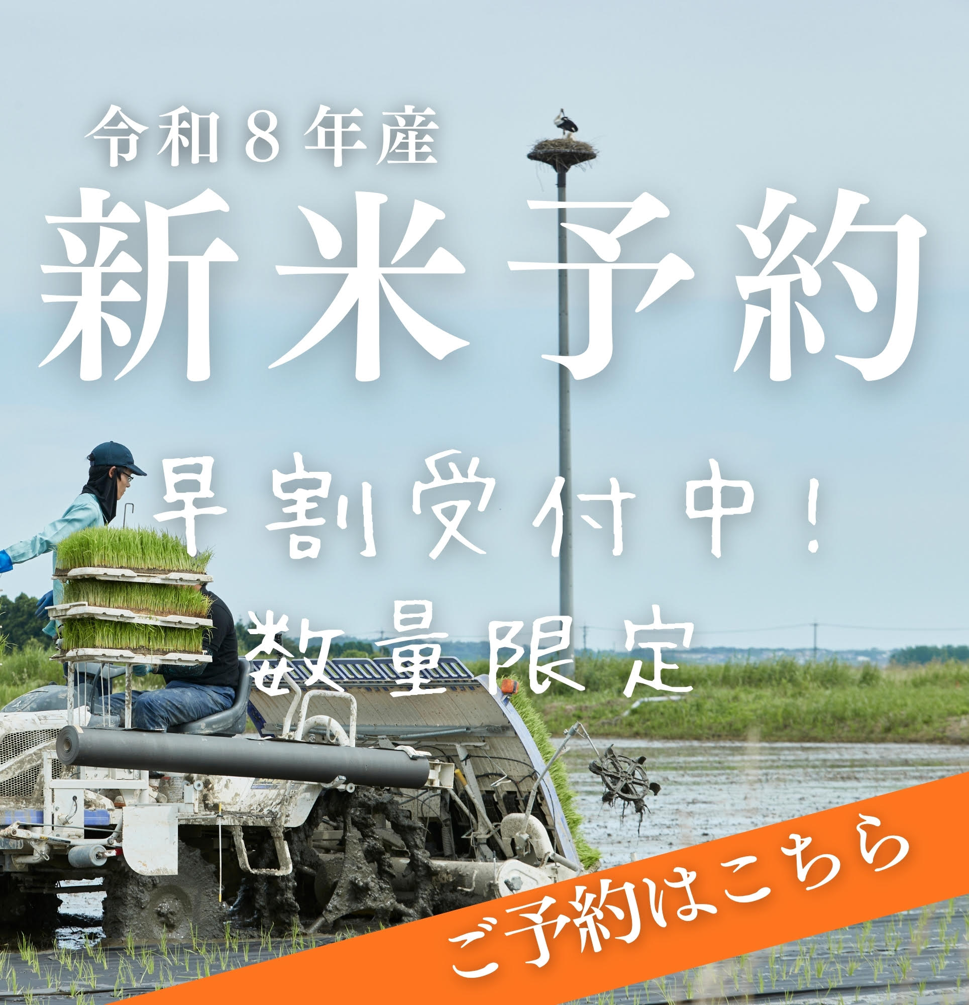 新米予約 早割 受付中